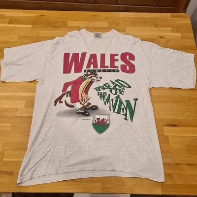 Buy Vintage Wales Rugby Tshirt XL Taz Tazmanian Devil 1995 Warner Bros  • 19.99£