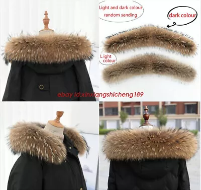 Buy Luxury Ussuri Raccoon Fur Real Fur Collar Scarf Trim For Women's Hood Jacket • 53.99£