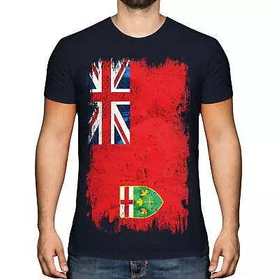 Buy Ontario Grunge Flag Mens T-shirt Tee Top Gift Shirt Clothing Jersey • 11.95£