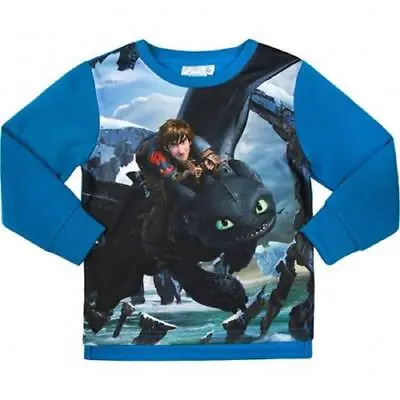 Buy Boys Official Licensed Dragons Character T-shirt Sweatshirt Top Toothless Hiccup • 7.99£