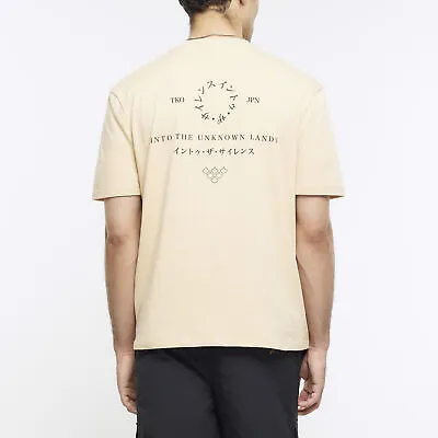 Buy River Island Mens T-shirt Stone Regular Fit Japanese Graphic Short Sleeve Tee • 10£