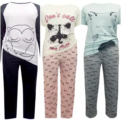 Buy BNWT Cotton Pyjamas Pjs Panda Cat Pink Butterfly Owl Sheep Raccoon Plus Sz 20-32 • 15.99£