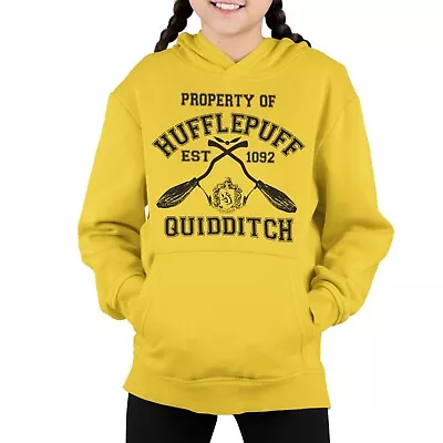 Buy Novelty Wizards School Houses Hoodie Jumper Hufflepuff Quidditch Team Hoody Top • 19.99£