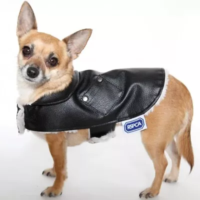 Buy RSPCA Dog Coat - Faux Leather Aviator / Biker Style Jacket - Black & Pearl XS-XL • 11£