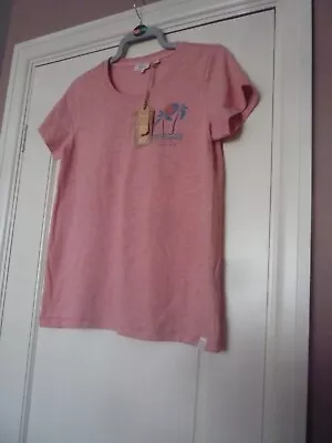 Buy Fat Face Sunshine All The Time T Shirt BNWT Size 14 Pink  *Current* • 24£