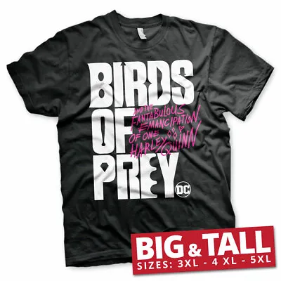 Buy Officially Licensed Birds Of Prey Logo BIG & TALL 3XL, 4XL, 5XL Men's T-Shirt • 22.98£