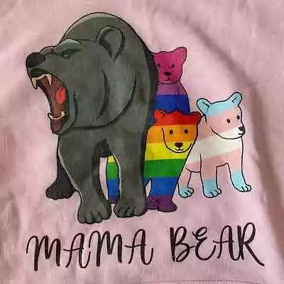 Buy Mama Bear Pride LGBTQ+ Acceptance Hoodie Pink Small • 20.86£