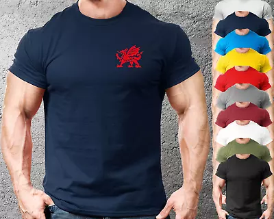 Buy Welsh Dragon LB Gym Fit T-Shirt Mens Fashion Training Top Design New Quality • 8.99£