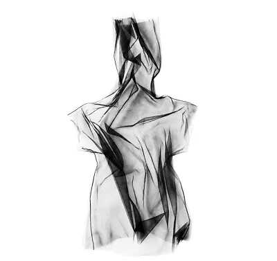Buy Tulle Mesh Sheer Turtleneck Top Shirt Futuristic Gothic Avant Garde Clothing • 37.89£