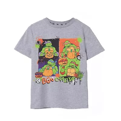 Buy Teenage Mutant Ninja Turtles Childrens/Kids Boo Crew Marl T-Shirt NS7967 • 14.59£