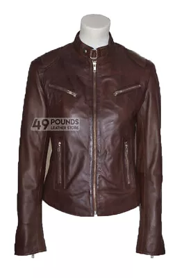 Buy Speed Ladies Brown Cool Biker Style Fitted Motorcycle Leather Jacket SR-01 • 41.65£