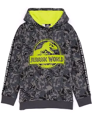 Buy Jurassic World Grey Hoodie (Boys) • 19.99£