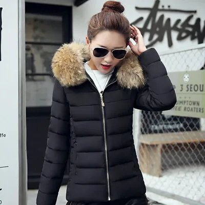 Buy Slim Winter Padded Eco-Fur Trim Hoodie Jacket • 35.99£