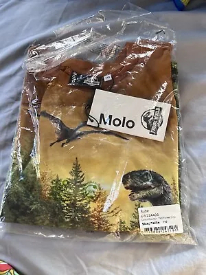 Buy Molo T-shirt 5-6 Jurassic World BNWT   Forest Dino  • 15£
