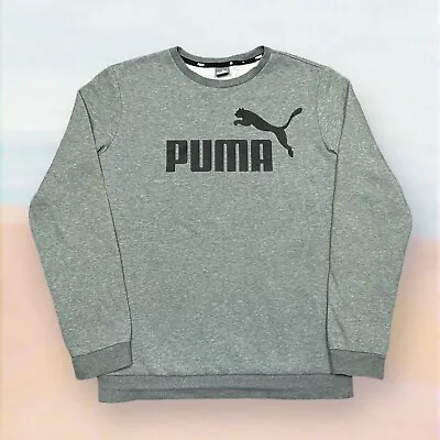 Buy Puma Sweatshirt Boys 15-16Y Grey Spell Out Logo Crew Pullover Jumper Teens • 4.99£