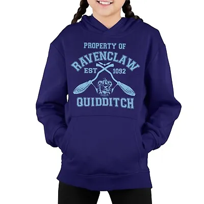 Buy Novelty Wizards School Houses Hoodie Jumper Ravenclaw Quidditch Team Hoody Top • 19.99£