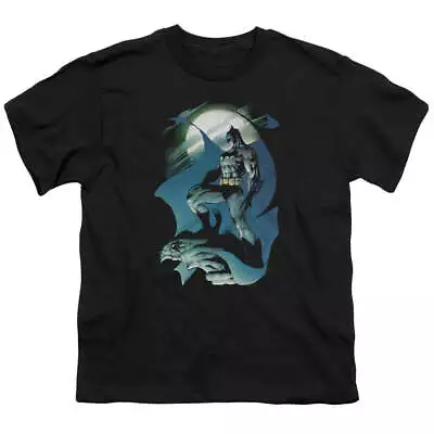 Buy DC Batman Glow Of The Moon - Youth T-Shirt • 17.37£