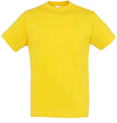Buy SOLs Mens 100% Cotton Plain Blank Tee Shirt T-Shirt T Shirt 40 Colours S-5XL • 7.99£