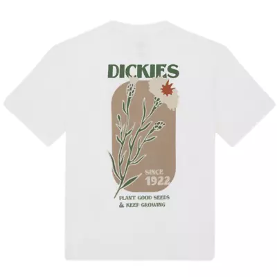 Buy Dickies Skateboarding Herndon T-Shirt | White • 29.95£