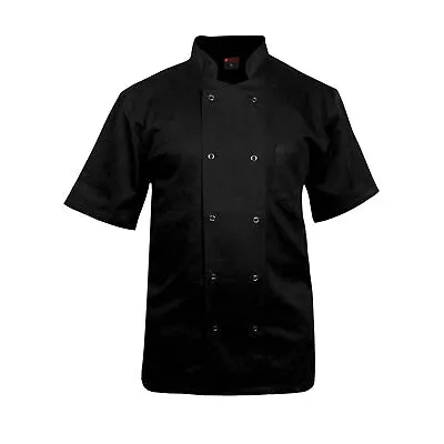 Buy Black Chef Jacket Short Sleeve Restaurent Kitchen Workwear Show Button Jacket UK • 12.99£