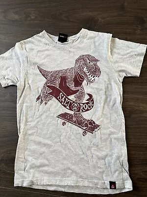 Buy Boys Salt Rock Dinosaur Tshirt Grey Age 7-8 Years Old • 2£