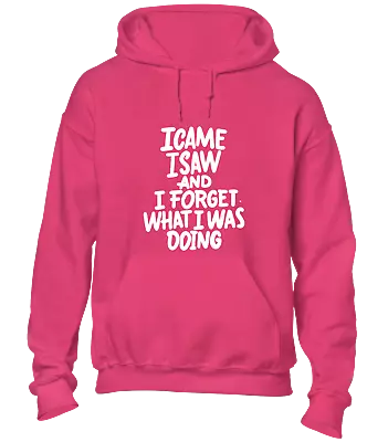 Buy I Came I Forgot Hoody Hoodie Joke Printed Slogan Design Fashion Funny Top • 16.99£