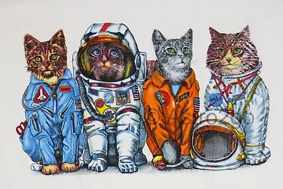 Buy SPACE CATS--NASA Astronaut Flight Suits Astronomy Science 2 Sided Kids T Shirt • 15.79£