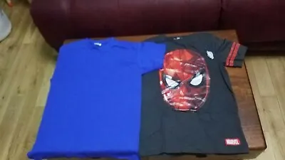 Buy 2x Boys T Shirts  1 X Marvel  Spiderman Grey&1 Fruit Of The Loom  Blue  • 3£