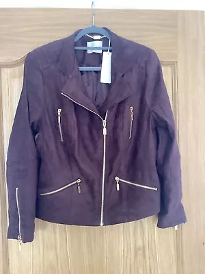 Buy Dannii Minogue Chocolate Brown Biker Jacket Size 18P BNWT • 24.50£