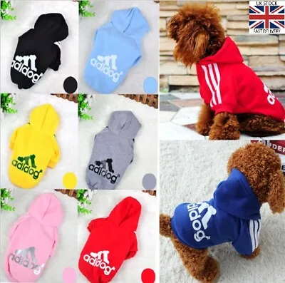 Buy Cute Adidog Puppy Small & Big Dog Pet Sweatshirt Hoody/T Shirt • 9.99£