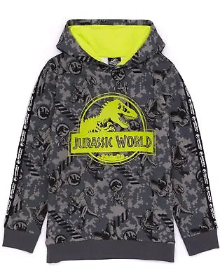 Buy Jurassic World Hoodie Kids Boys Camp Cretaceous T Rex Grey Sweater • 19.99£