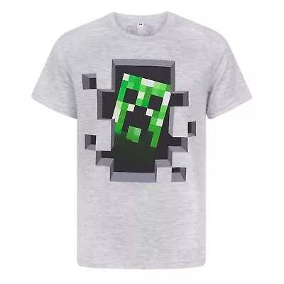Buy Minecraft Kids Creeper Inside T-Shirt NS5123 • 12.44£