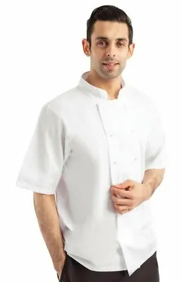 Buy White Chefs Jacket Boston Unisex Short Sleeve Professional Kitchen Uniform • 10.95£