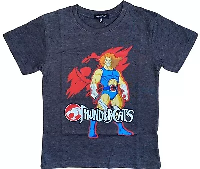 Buy New Boys Thundercats T-shirt/top.3-12yrs • 4.99£