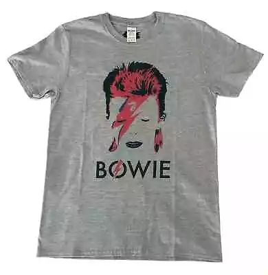 Buy David Bowie™ Aladdin Sane T-Shirt Grey Officially Licensed Band Merchandise 185g • 25£