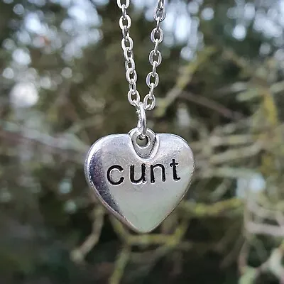 Buy Silver C Word Necklace Heart Shape Alternative Offensive Jewellery Chain Rude • 12.99£