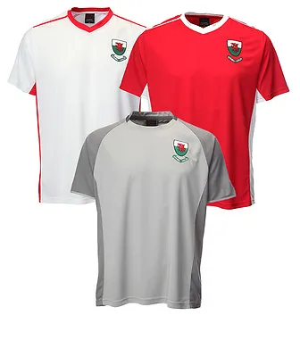 Buy Men's Wales EURO Football Supporter Welsh Dragon Badge Cool Dry Footy T Shirts • 14.99£