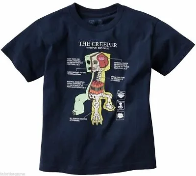 Buy Minecraft Creeper Anatomy Boys Kids Blue T Shirt Official Minecraft Tee T Shirt • 9.95£