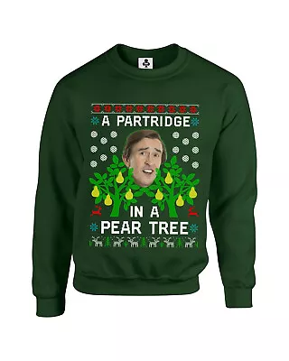 Buy A Partridge In A Pear Tree Christmas Jumper Funny Xmas Sweatshirt Men Women • 19.95£