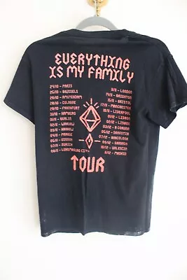 Buy Crystal Fighters TOUR Tshirt - Everything Is Family TOUR - SMALL • 15£
