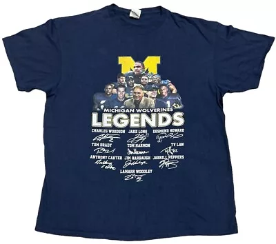 Buy Michigan Wolverines Legends Delta Pro Weight T Shirt Size XL • 25£