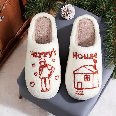 Buy Harry House Slippers, Cute Design House Fluffy Cozy Slides, Harry Fans Birthday • 13.99£