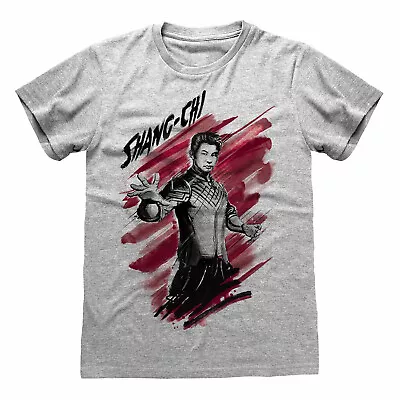 Buy Marvel Shang-Chi And - Ink Pose Unisex Heather Grey T-Shirt Ex Large - H777z • 12.46£