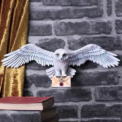 Buy Harry Potter Hedwig Wall Plaque Nemesis Now Hogwarts Owl Official Merch • 69.99£