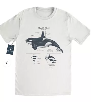 Buy 1 X Killer Whale The Original Anatomy T Shirt, Small Size  • 27.99£