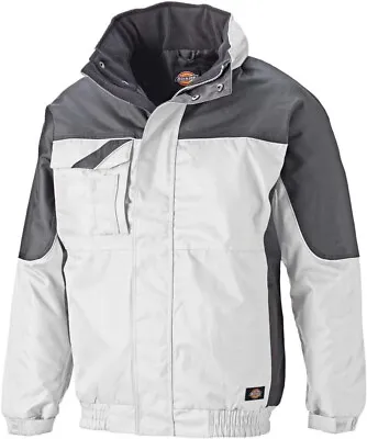 Buy Dickies Industrial Winter Jacket IN30060 Size XXXL White/Grey • 32.35£