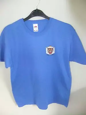 Buy Mystical Knight Short Sleeved Blue Unisex Children's T-Shirt. (Size 9-11 Years) • 14£