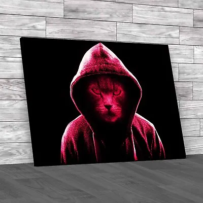 Buy Cool Angry Cat In Hoodie Unleash The Attitude  Pink Canvas Print Large Picture • 14.95£