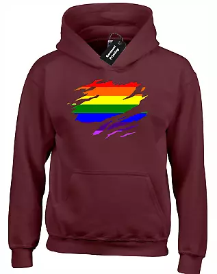 Buy Pride Slash Hoody Hoodie Gay Lesbian Pride Lgbt Rainbow Fashion Love Top (col) • 16.99£