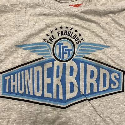 Buy NWOT The Fabulous Thunderbirds Stars & Wings Logo Concert Tour Gray Shirt Small • 28.90£